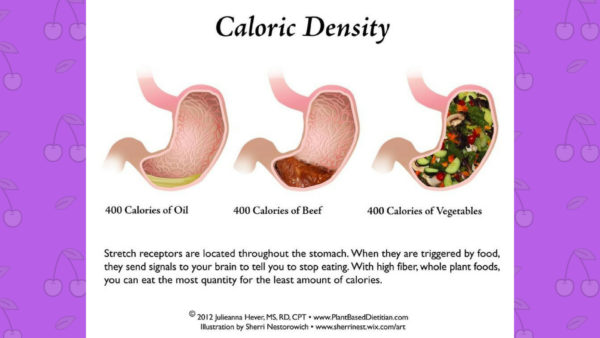 Oil, healthy or unhealthy?